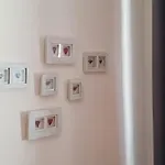 Homes 보로베츠