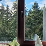 Homes *