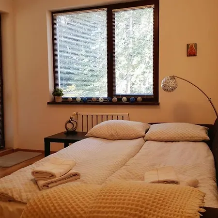 Homes شقة بوروفتس