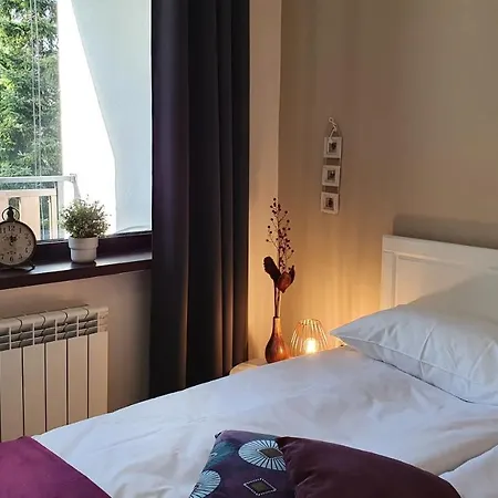 Homes بوروفتس