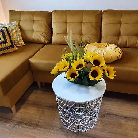 Homes Apartament Boroveț