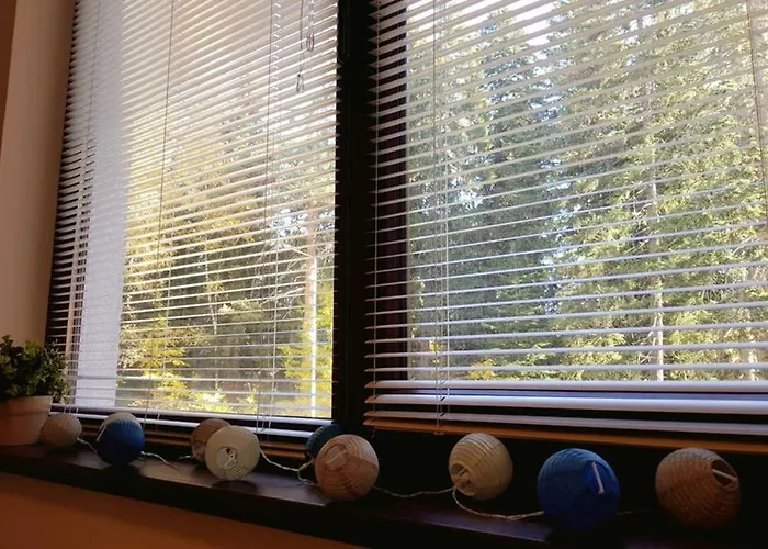 Apartament Homes Borowec