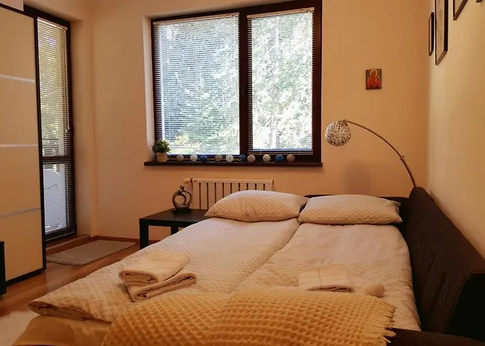 Homes Apartament Borowec