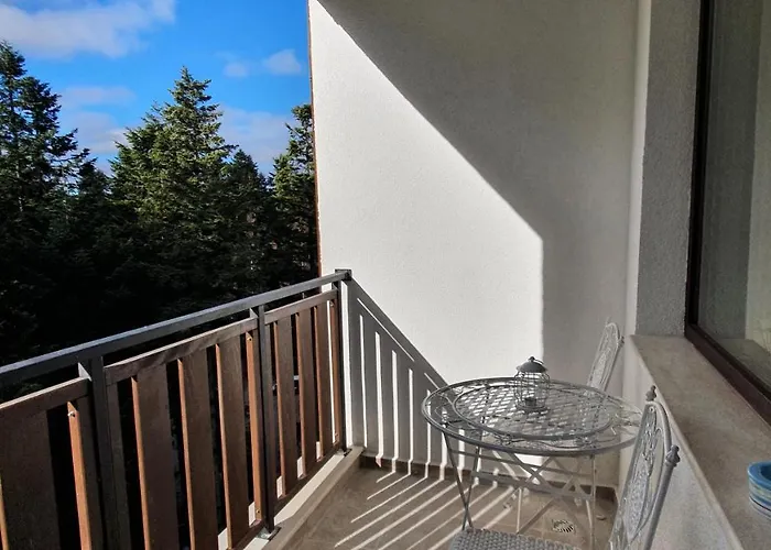 Homes Apartament Borowec