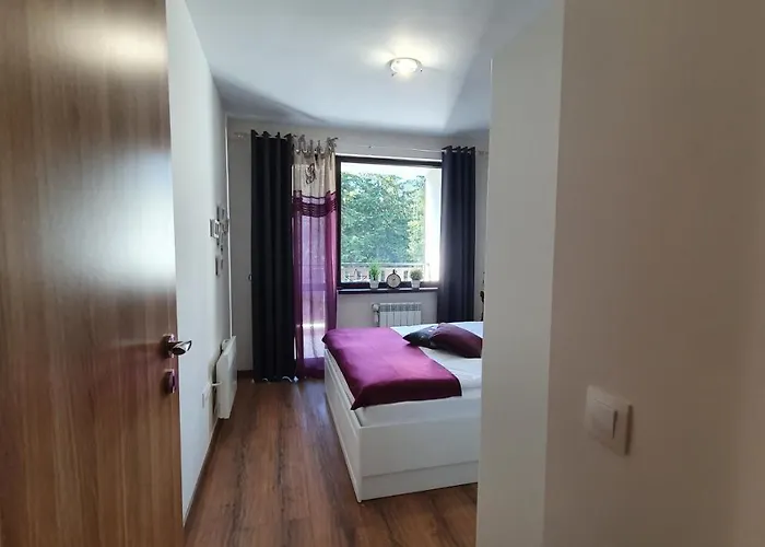 Apartament Homes Borowec
